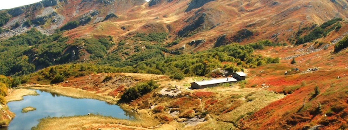 Cromatismi d’autunno, Anello val Fegana, foce di Campolino, Alpe Tre Potenze, foce a Giovo