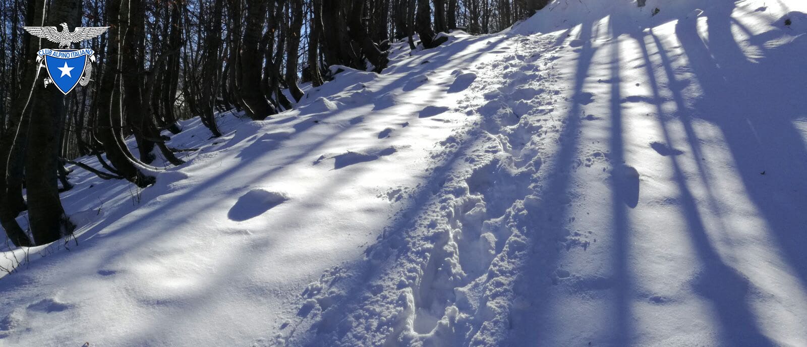 Percorso innevato nella montagna pistoiese