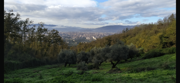 panorama su Pistoia