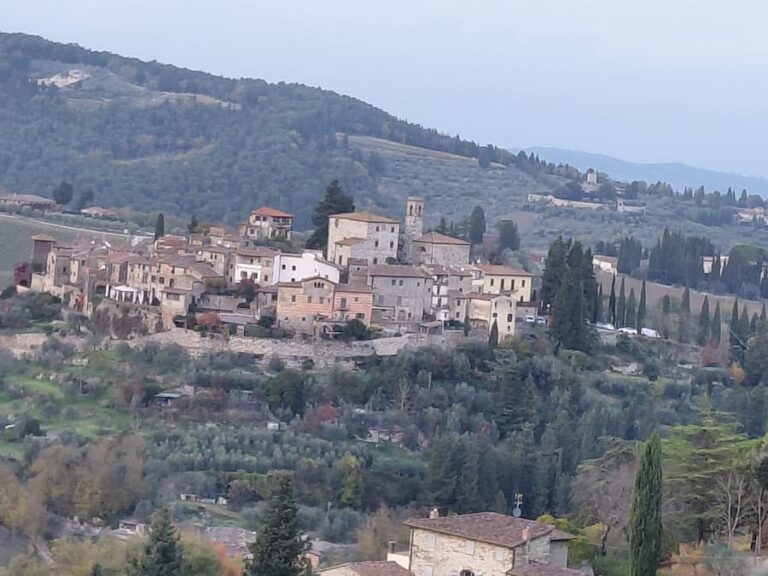 Veduta sul borgo di Montefioralle