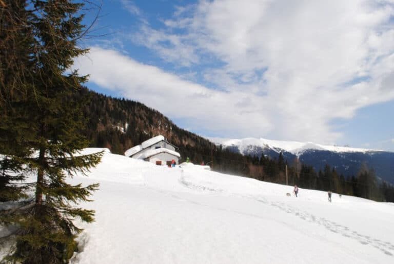 Panorama innevato Val Comelico