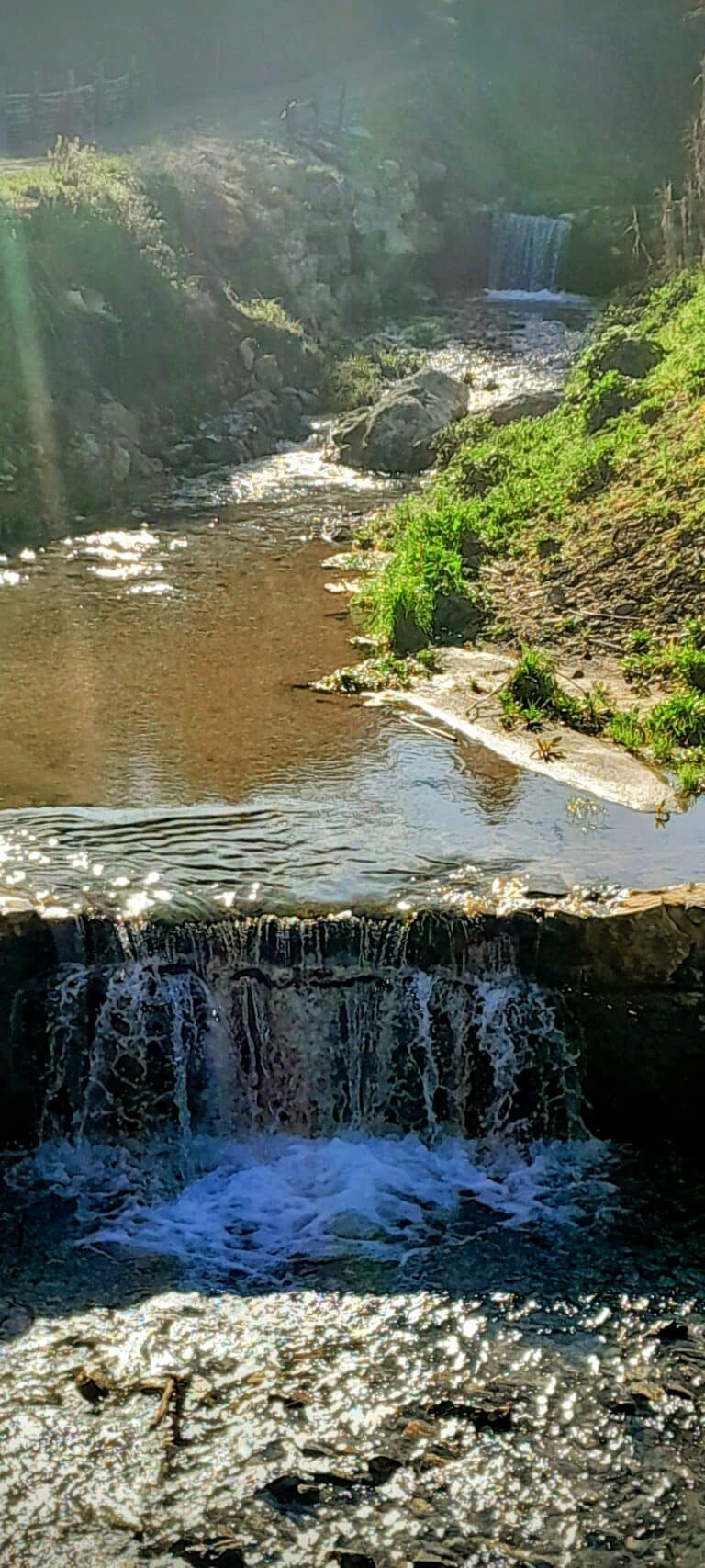 Torrente del Montalbano