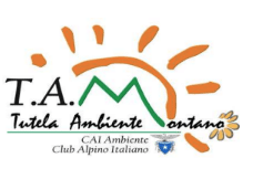 Logo TAM