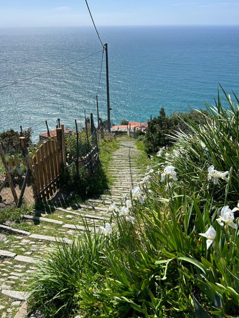 Panorama dalla scalinata Monesteroli