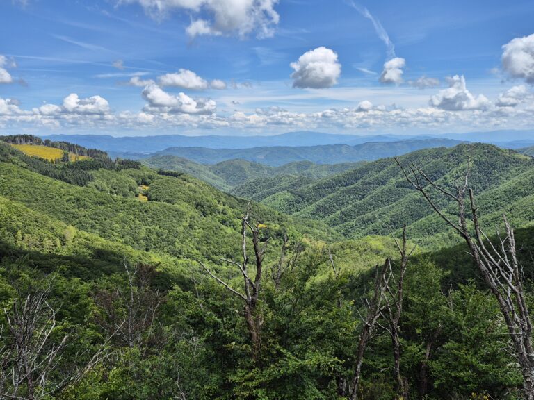 Panorama sulla Riserva di Acquerino Cantagallo