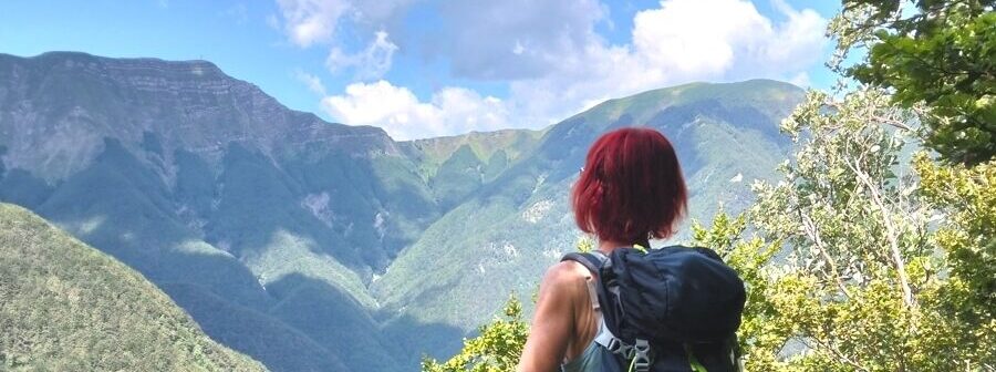 Panorama sul Corno alle Scale